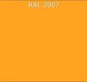 RAL 2007