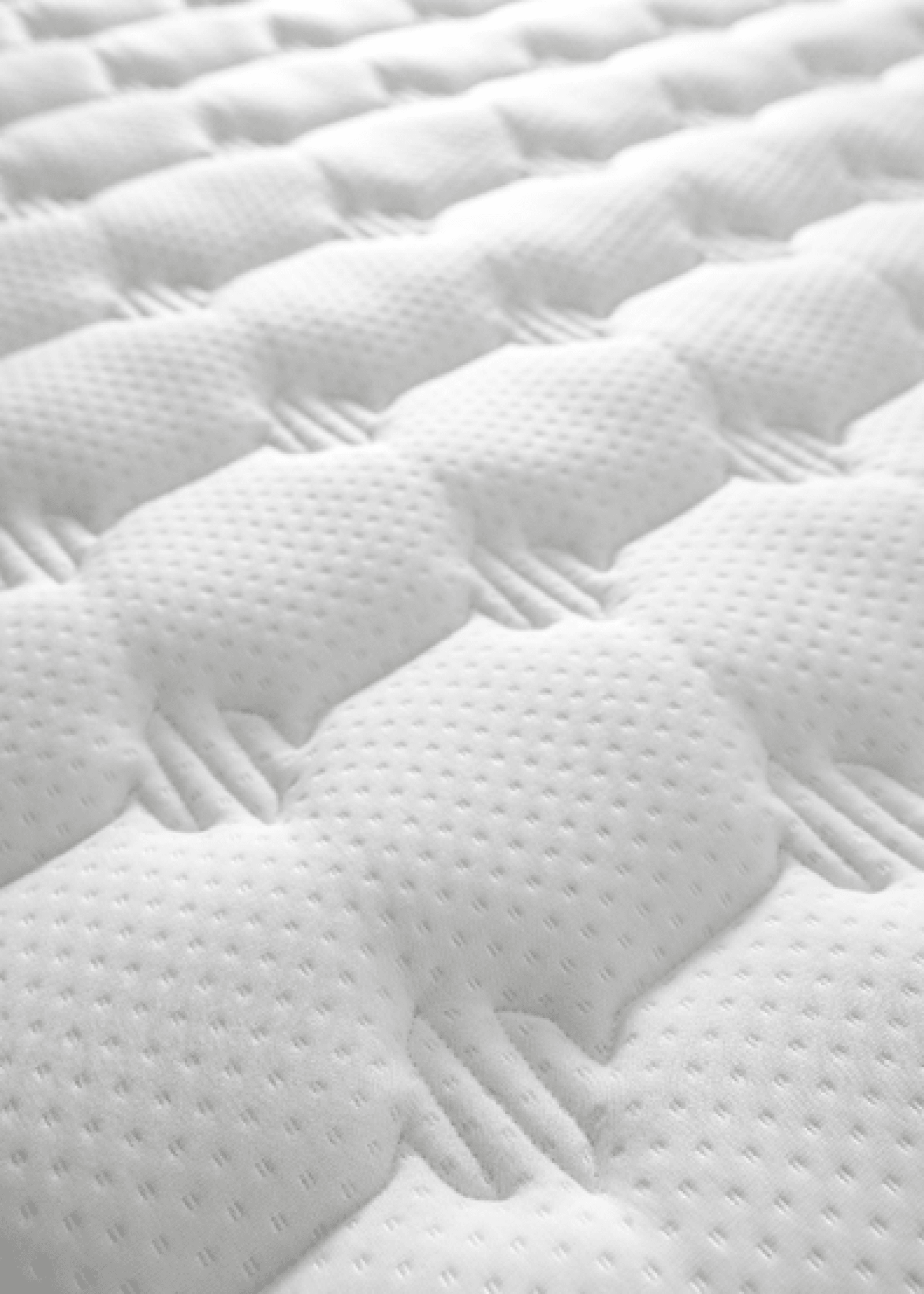 САТУРНИЯ ДУО МИЛЛЕ