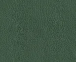 Oregon 01