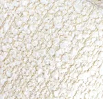 Buckle white (A)
